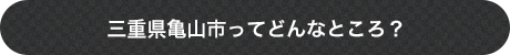 三重県亀山市ってどんなところ？