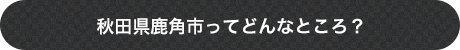 秋田県鹿角市ってどんなところ？