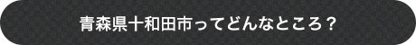 青森県十和田市ってどんなところ？