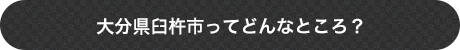 大分県臼杵市ってどんなところ？