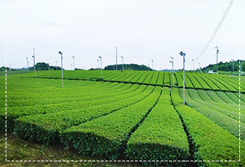 三重県亀山市の写真