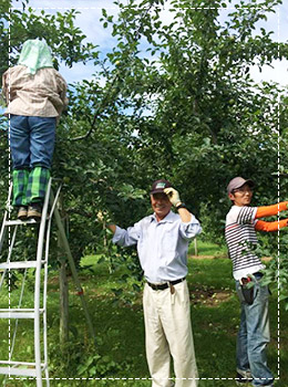 秋田県鹿角市の写真