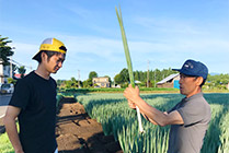 青森県十和田市