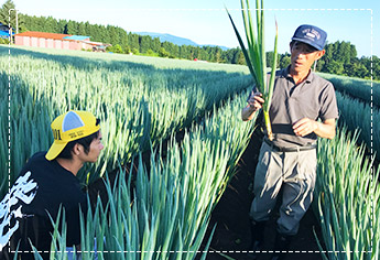 青森県十和田市の写真