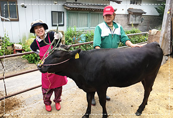 青森県十和田市の写真