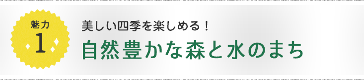 魅力1 美しい四季を楽しめる！自然豊かな森と水のまち