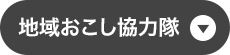 地域おこし協力隊