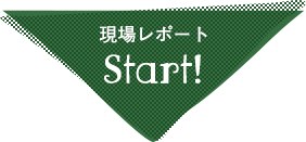 現場レポートSTART