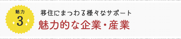 魅力3 移住にまつわる様々なサポート 魅力的な企業・産業