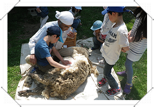 Pick Up 特色のある学校と移住 田舎暮らし特集 ニッポン移住 交流ナビ Join 田舎暮らしを応援します