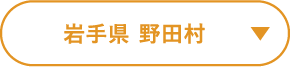 岩手県 野田村