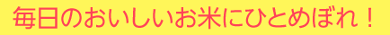 毎日のおいしいお米にひとめぼれ！