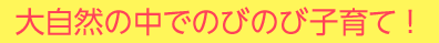 大自然の中でのびのび子育て ！