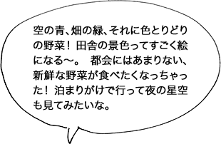 空の青、畑の緑、それに色とりどりの野菜！ 田舎の景色ってすごく絵になる〜。 都会にはあまりない、新鮮な野菜が食べたくなっちゃった！ 泊まりがけで行って夜の星空も見てみたいな。