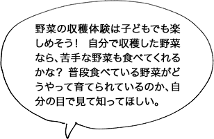 野菜の収穫体験は子どもでも楽しめそう！ 自分で収穫した野菜なら、苦手な野菜も食べてくれるかな？ 普段食べている野菜がどうやって育てられているのか、自分の目で見て知ってほしい。