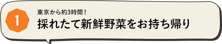 東京から約3時間！採れたて新鮮野菜をお持ち帰り