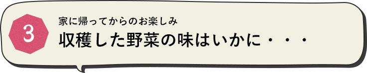 家に帰ってからのお楽しみ収穫した野菜の味はいかに・・・