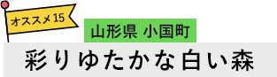 山形県 小国町 彩りゆたかな白い森