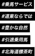 #乗馬サービス #道東ならでは #豊かな自然 #引退乗用馬 #標茶町