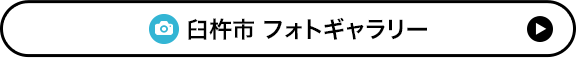 フォトギャラリー