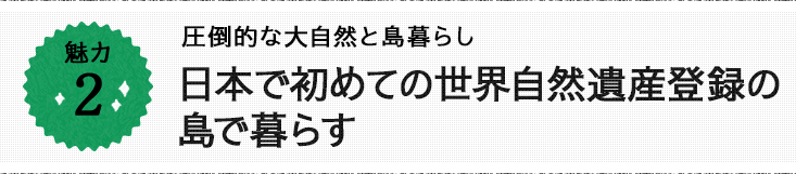 魅力2 圧倒的な大自然と島暮らし 日本で初めての世界自然遺産登録の島で暮らす