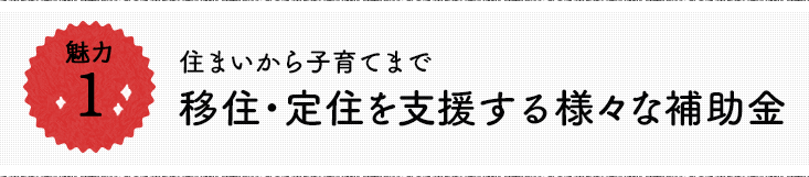 魅力1 住まいから子育てまで　移住・定住を支援する様々な補助金