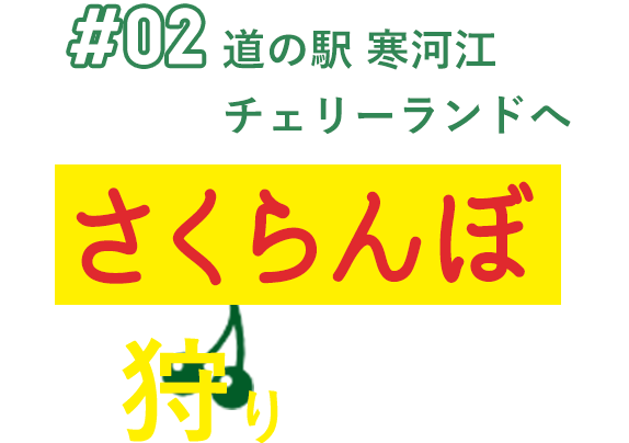 #02 道の駅 寒河江チェリーランドへ さくらんぼを狩りに行こう！