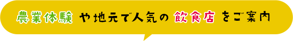 農業体験や地元で人気の飲食店をご案内