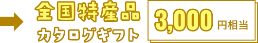 全国特産品カタログギフト 3000円相当