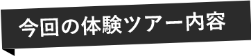 今回の体験ツアー内容