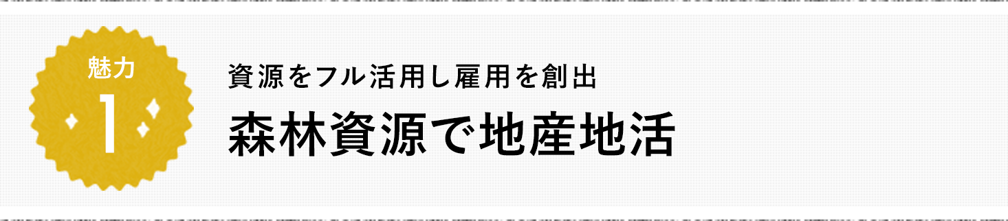 魅力1 資源をフル活用し雇用を創出 森林資源で地産地活