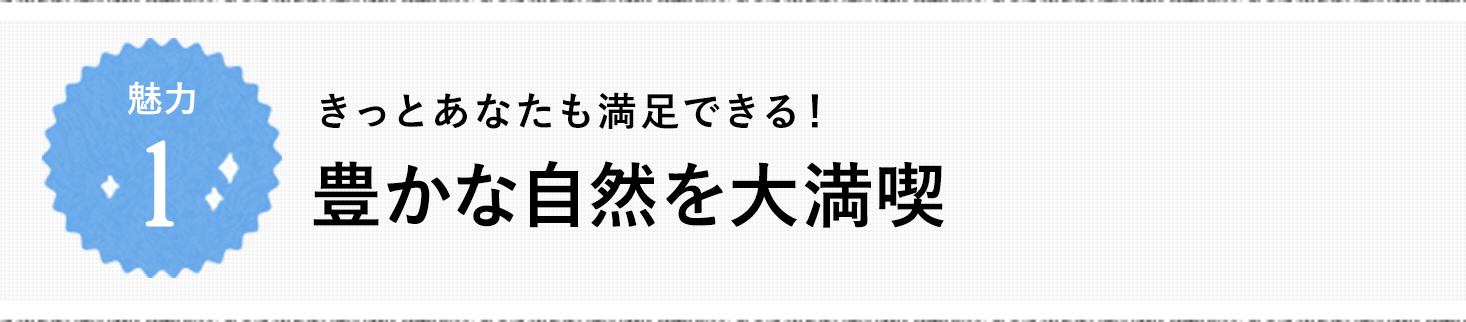 魅力1 きっとあなたも満足できる！ 豊かな自然を大満喫