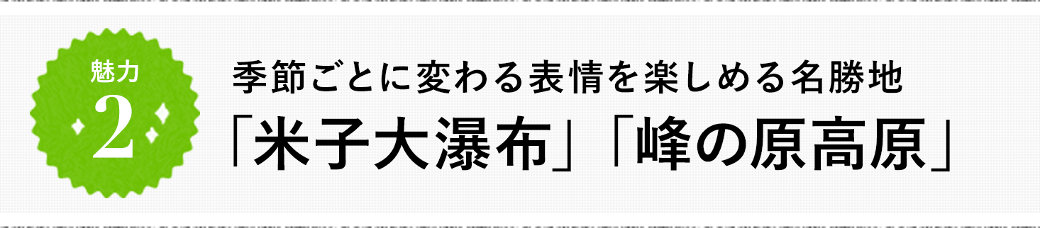 魅力2  季節ごとに変わる表情を楽しめる名勝地 「米子大瀑布」「峰の原高原」