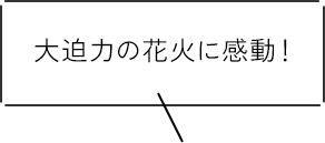 大迫力の花火に感動！
