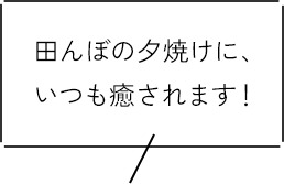 田んぼの夕焼けに、いつも癒されます！