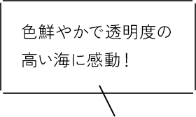 色鮮やかで透明度の高い海に感動！