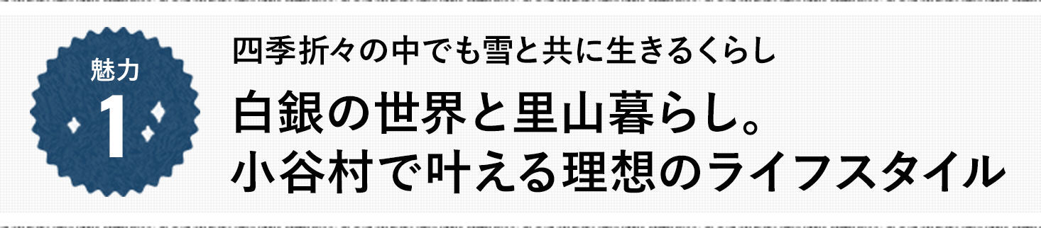 魅力1 四季折々の中でも雪と共に生きるくらし 白銀の世界と里山暮らし。小谷村で叶える理想のライフスタイル