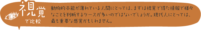 視覚で比較