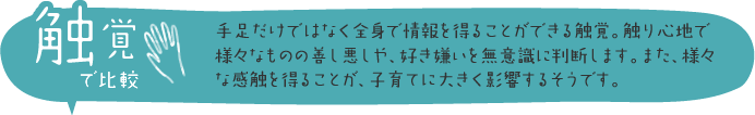 触覚で比較