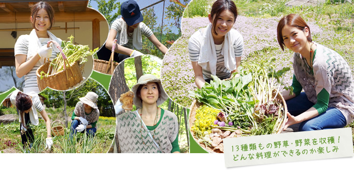 13種類もの野草・野菜を収穫!どんな料理ができるのか楽しみ