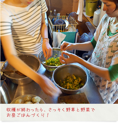 収穫が終わったら、さっそく野草と野菜でお昼ごはんづくり!