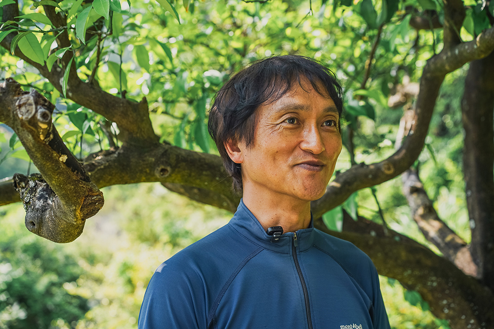 三重県尾鷲市で地域おこし協力隊経験者として甘夏の生産と販売促進を行う日下さんの活動風景