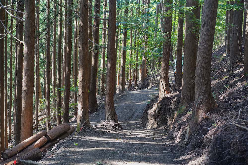 自伐型林業の普及と環境に配慮した山づくりを進める岩手県一関市の地域おこし協力隊