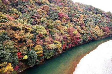 紅葉と久慈川の清流