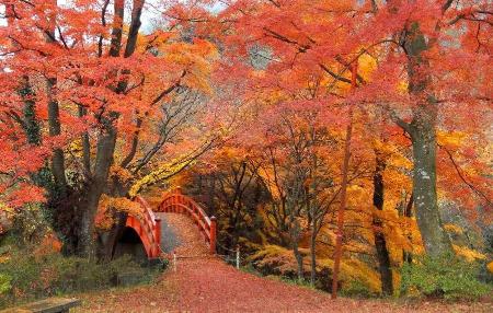 矢祭山公園紅葉