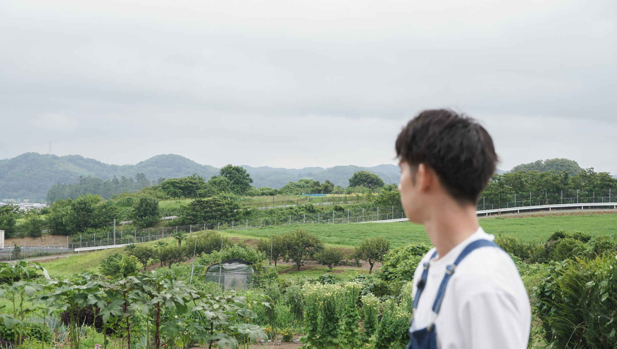 地域おこし協力隊インターンに応募したきっかけや、田園風景・農業への興味について語るセクションの挿入画像。