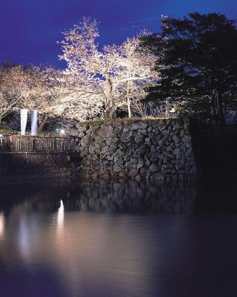 田丸城跡桜