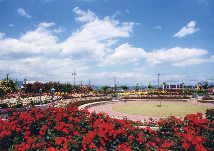 美しいバラ公園
