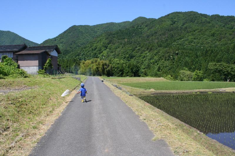 鳥取県_倉吉市_里山にある自然がっこう