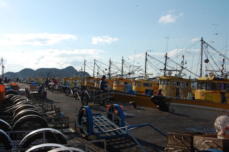 和歌山県_有田市_「箕島漁港」では「ウタセ」と呼ばれる伝統的な底引き網漁がおこなわれています。